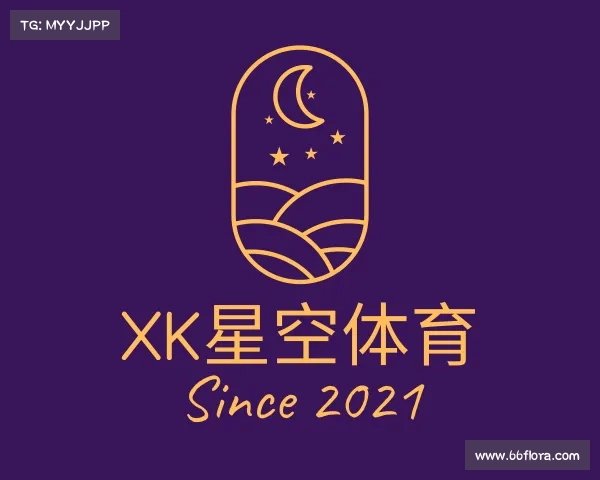 关于XK星空体育