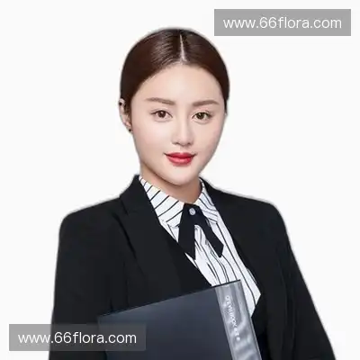 宋娜东